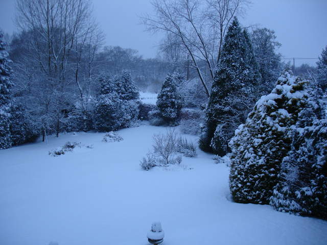 Back Garden