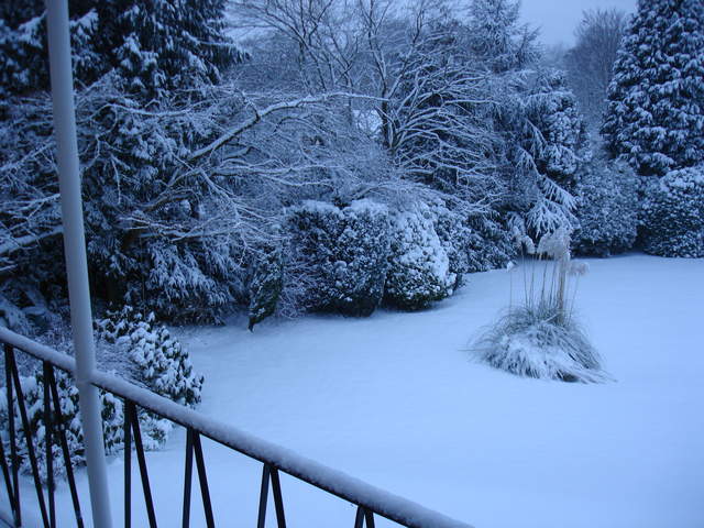 From Balcony