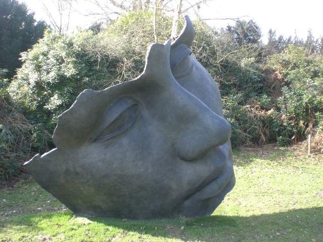CIMG3111.JPG