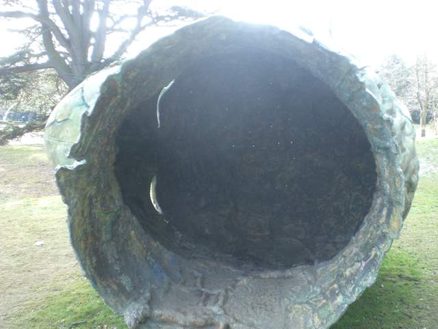 CIMG3122.JPG