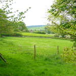 Singleton, Chichester