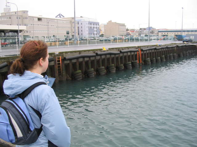 Iceland 057.jpg