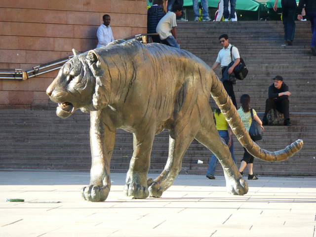 P1030701.JPG