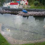 legoland2005 010.jpg