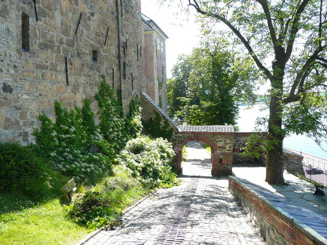 P1030678.JPG