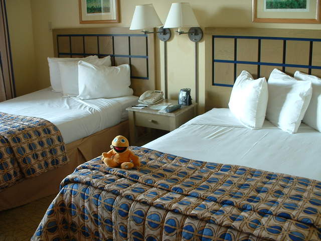 What a great suite, he gets two full size beds!