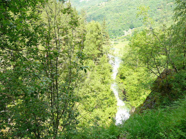 P1030741.JPG