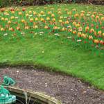 legoland2005 012.jpg