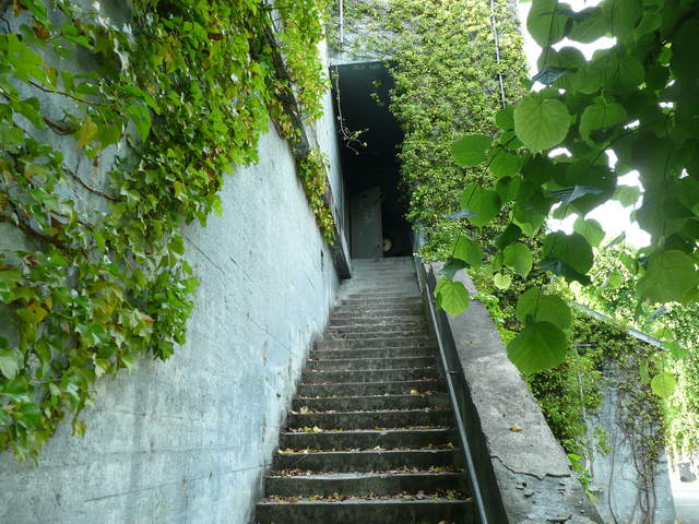 P1030814.JPG