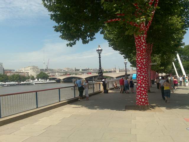 Ascension of Polkadots on the Trees