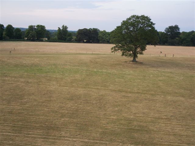 balloontrip 078