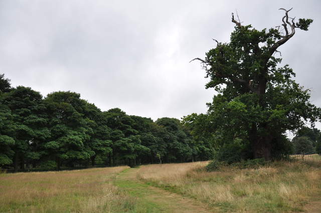 Cassiobury Park