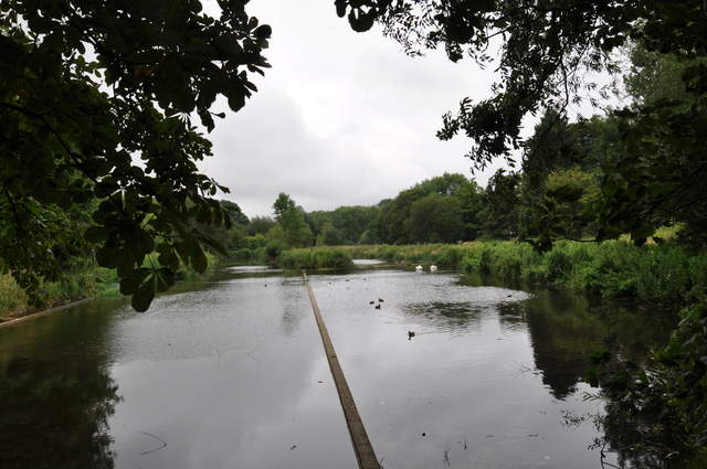 Disused watercress beds at Croxley Green Watercress Farm