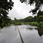Disused watercress beds at Croxley Green Watercress Farm