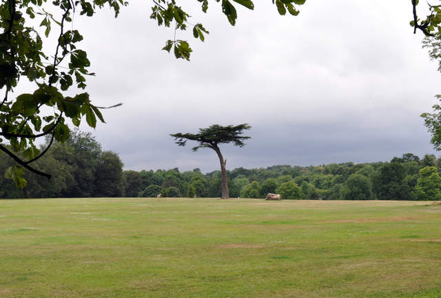 Cassiobury Park