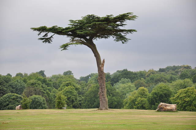 Cassiobury Park