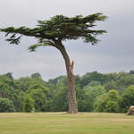 Cassiobury Park