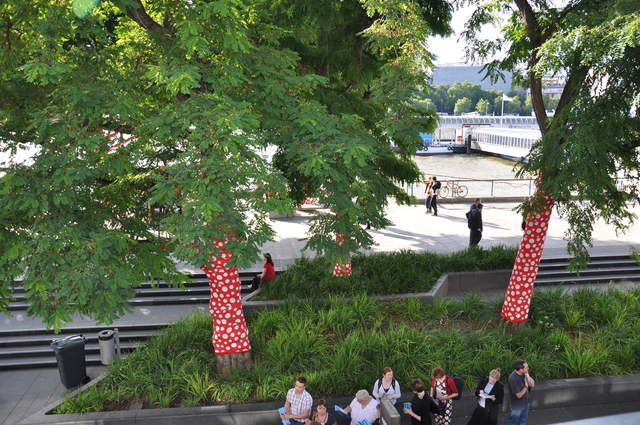 Ascension of Polkadots on the Trees