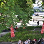 Ascension of Polkadots on the Trees