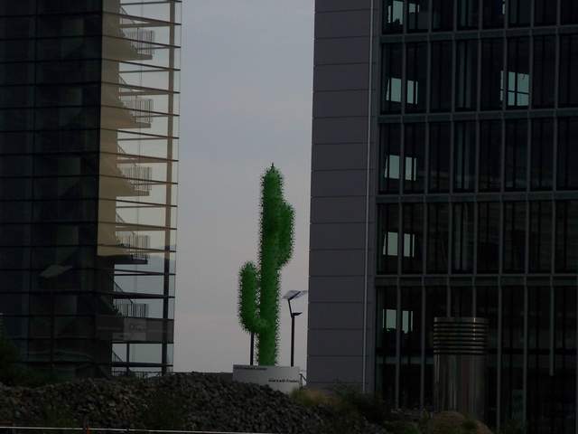100_3987.JPG