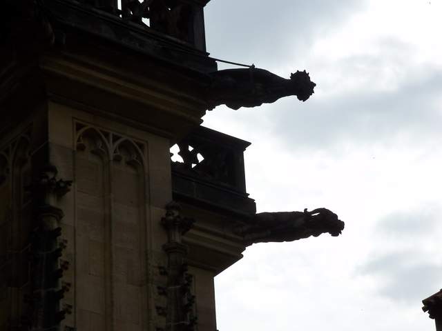 100_4017.JPG