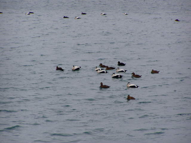 P3040037.JPG