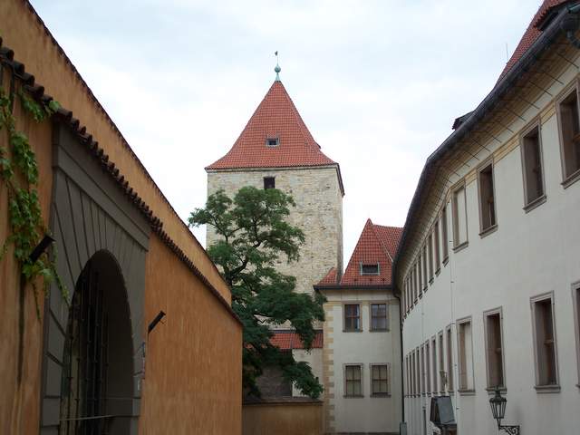 100_4038.JPG