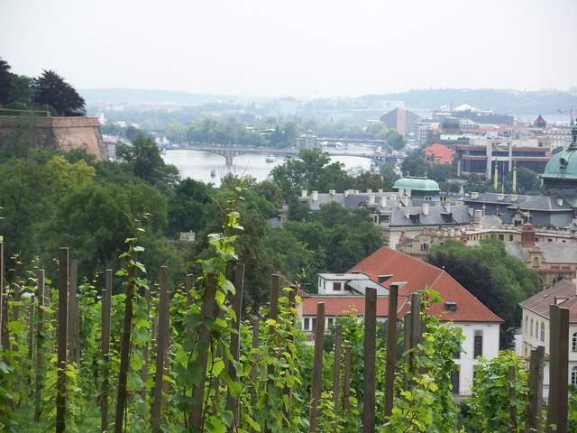 100_4048.JPG