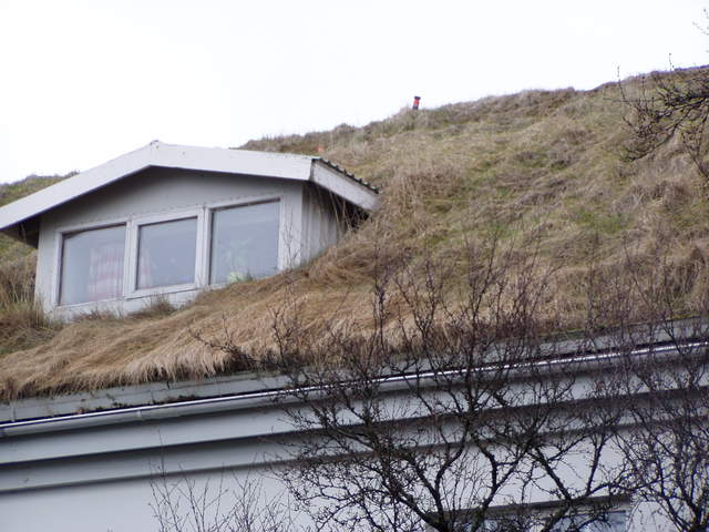 P3040056.JPG
