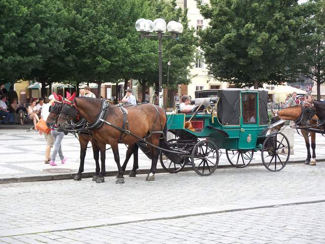 100_4076.JPG