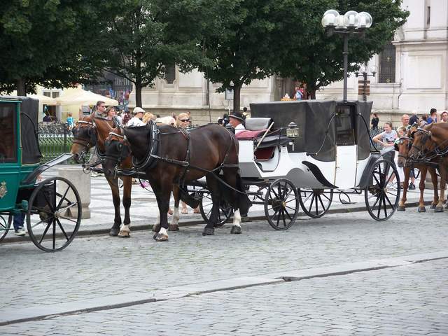 100_4077.JPG