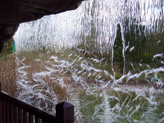 100_1169.jpg