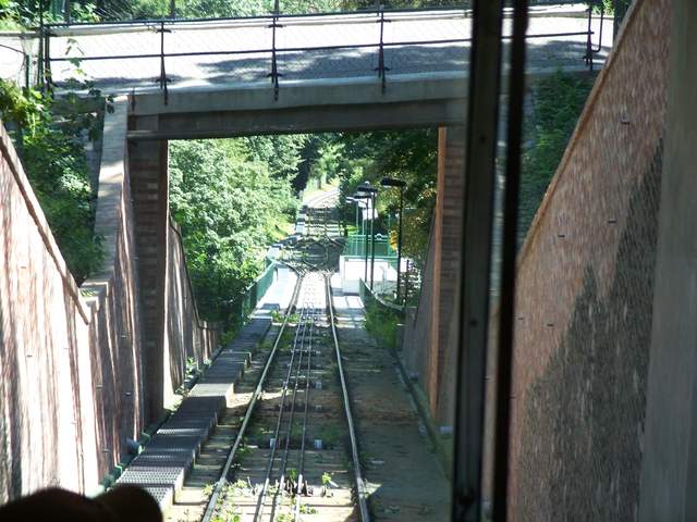 100_4133.JPG