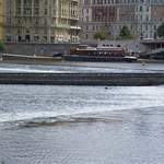 100_4214.JPG
