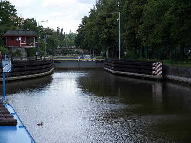 100_4217.JPG