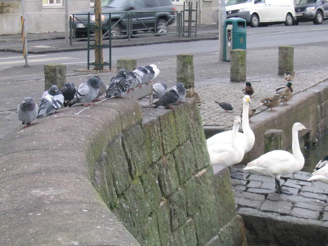 Iceland 073.jpg