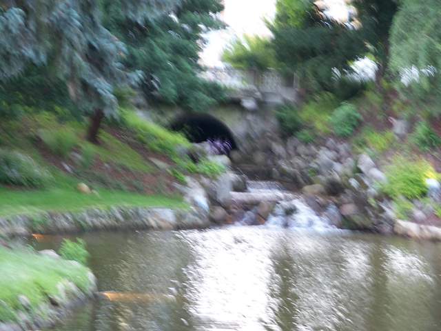 100_4412