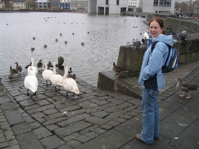 Iceland 077.jpg