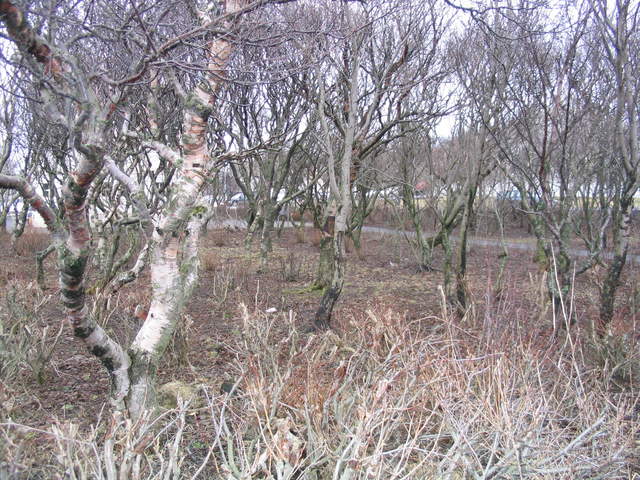 Iceland 081.jpg