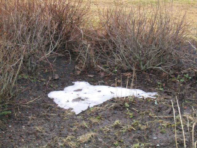 Iceland 082.jpg