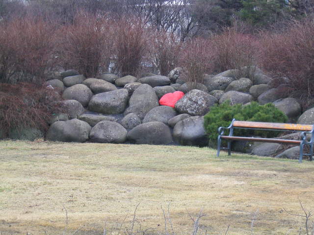 Iceland 084.jpg