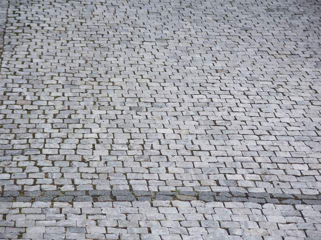 100_4516