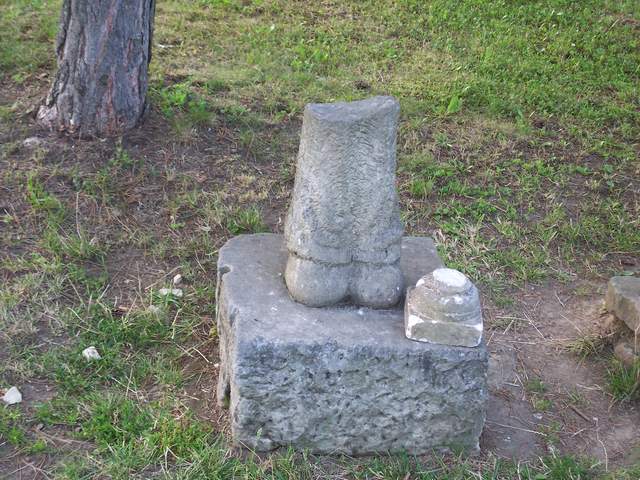 100_4530