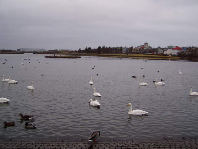 P3040041.JPG