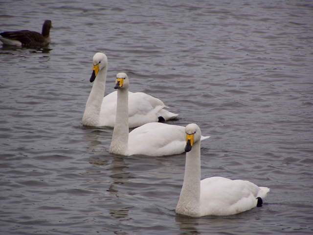 P3040043.JPG