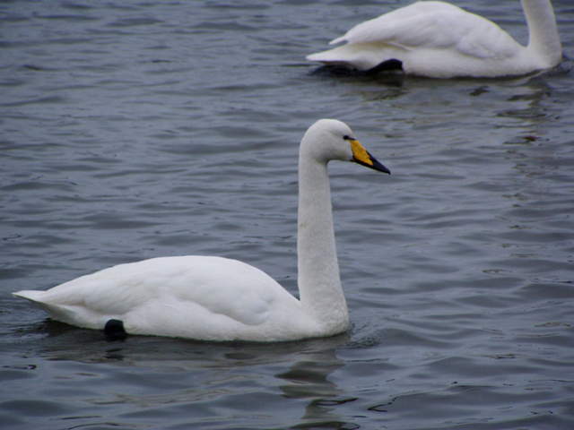 P3040044.JPG
