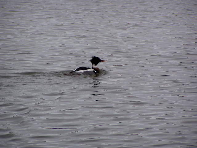 P3040047.JPG