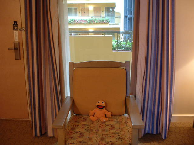 Zippy really does love his hotel suite, its so classy.