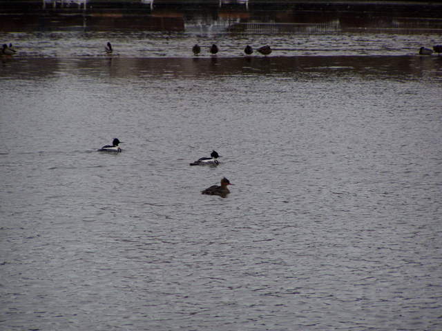P3040048.JPG