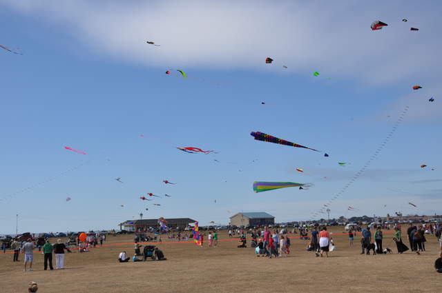 DSC_0003.JPG